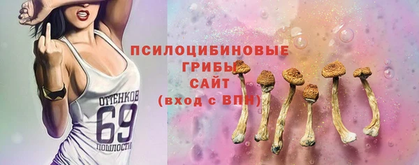 2c-b Балахна