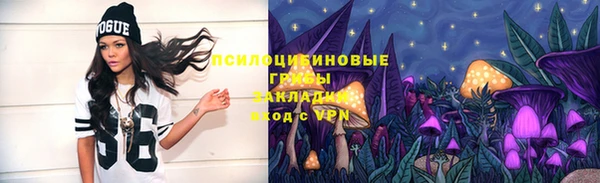 2c-b Балахна