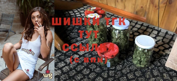 молекула духа Михайлов