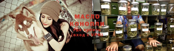 молекула духа Михайлов